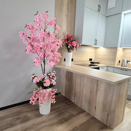 Towarowa Sakura Apartment, Free Parking, Air-conditioning, Self Check-in 24h Lejlighed Poznań
