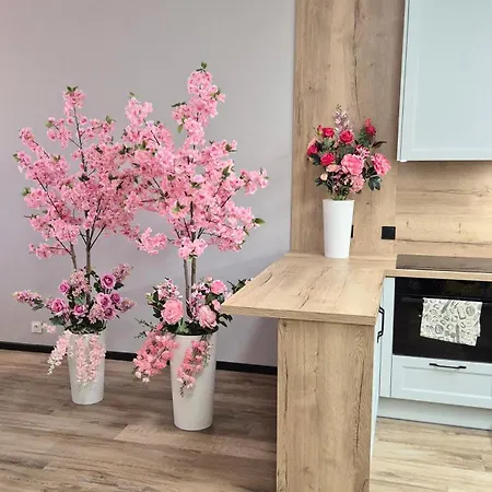 Towarowa Sakura Apartment, Free Parking, Air-conditioning, Self Check-in 24h פוזנן