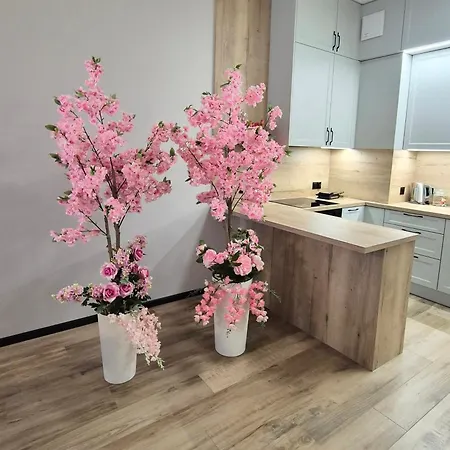 Towarowa Sakura Apartment, Free Parking, Air-conditioning, Self Check-in 24h דירה פוזנן